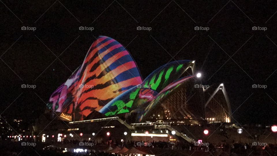 Stunning and bright light in the dark clash of colour 