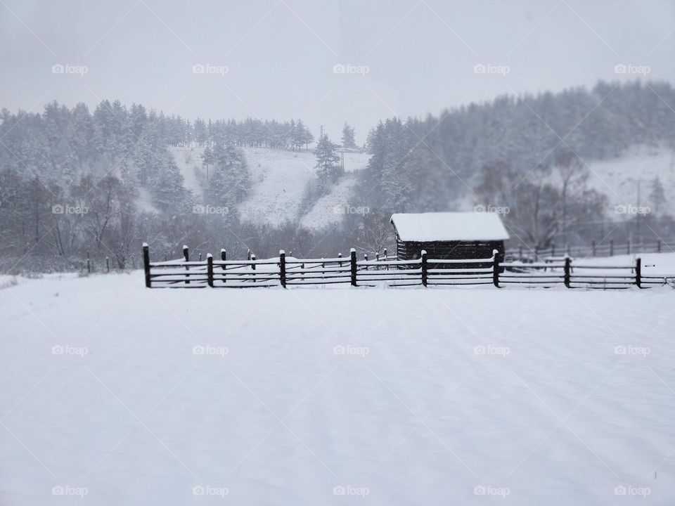 Winter landscape around a cozy cottage