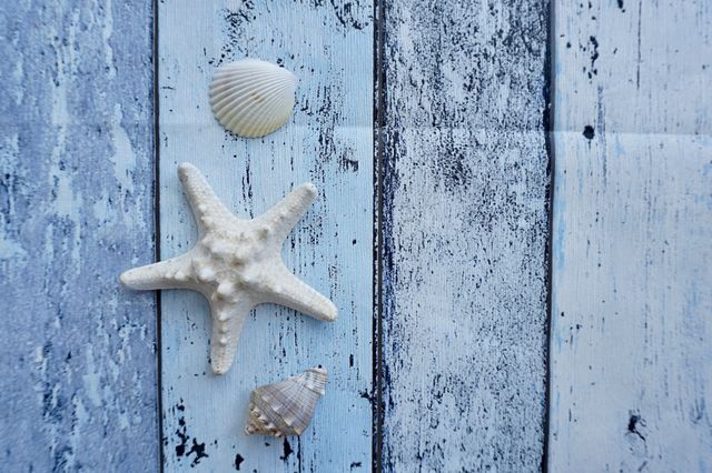 Starfish and seashells on wooden background