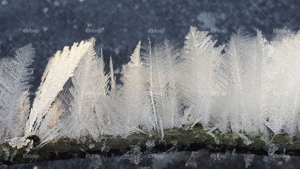 Art of nature - ice feathers