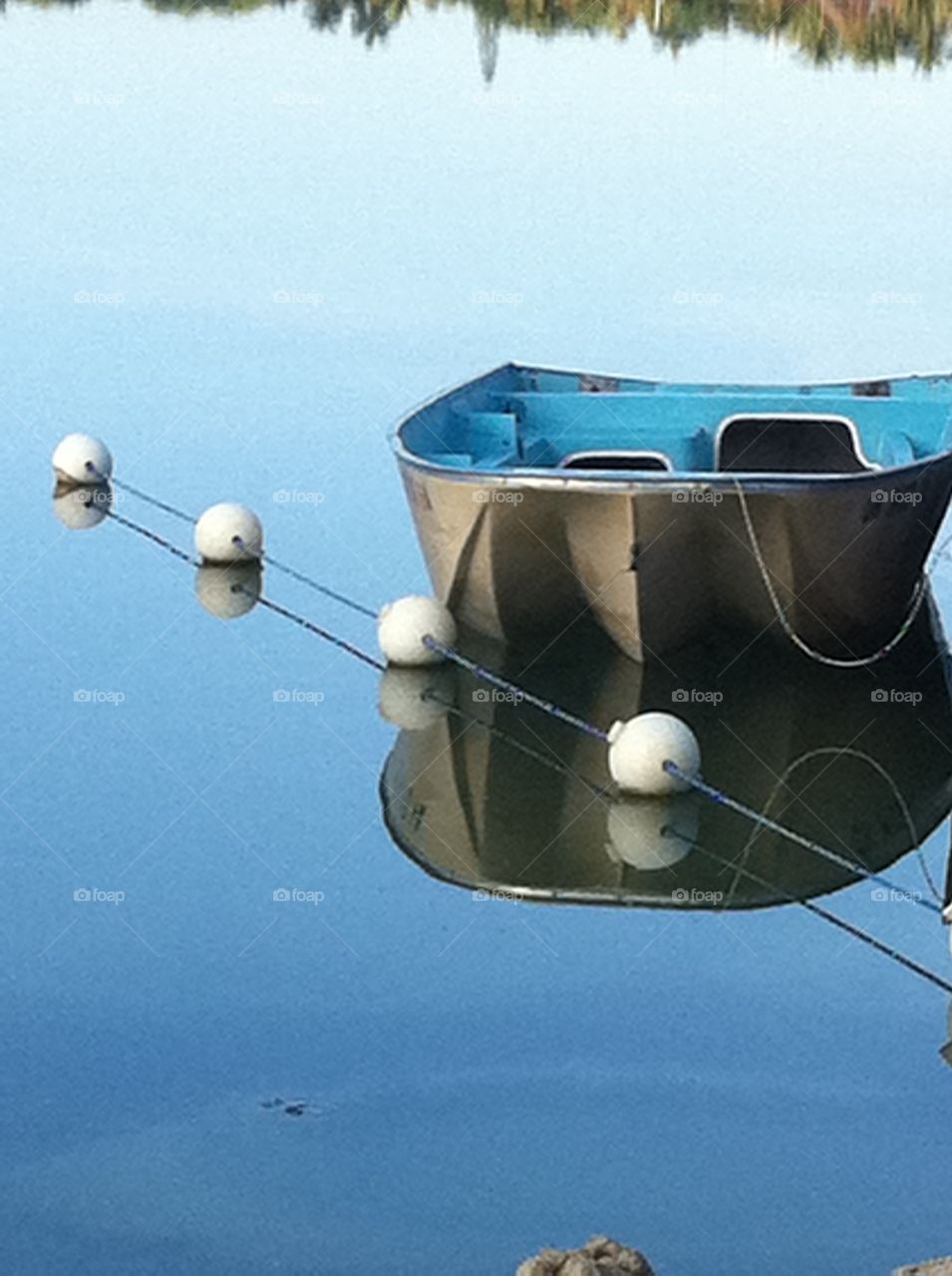 Lake reflection