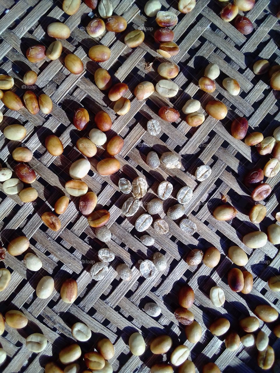 coffee beans , raw