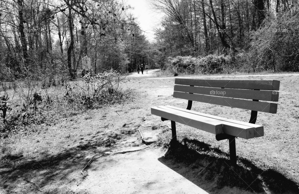 black and white bench park