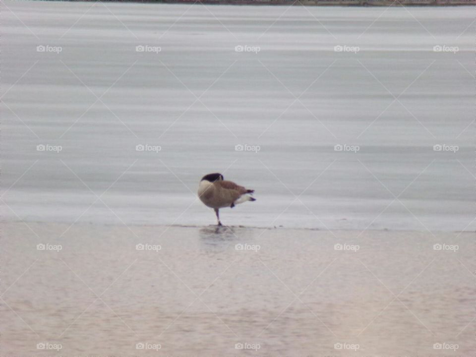 Oh for the warmth of spring.