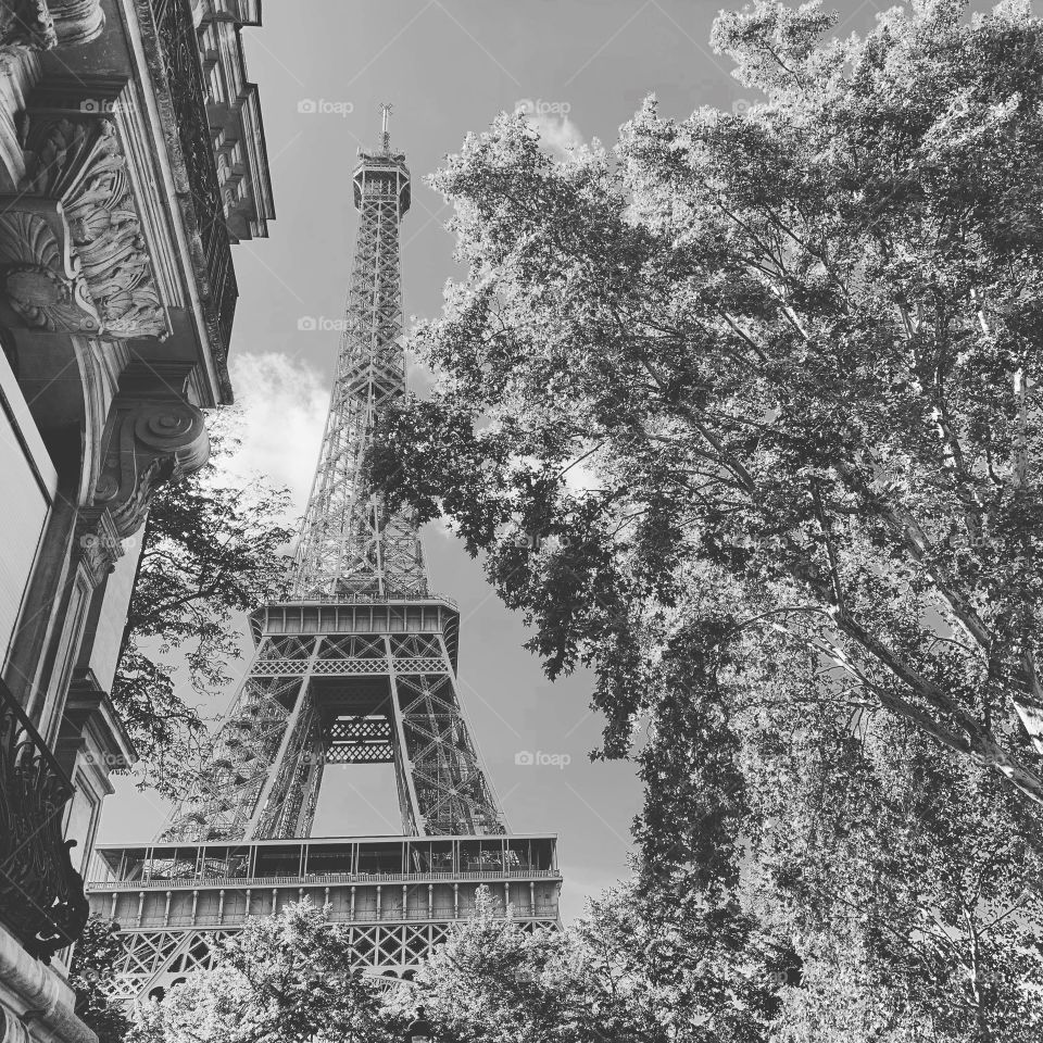 Eiffel tower / Paris 