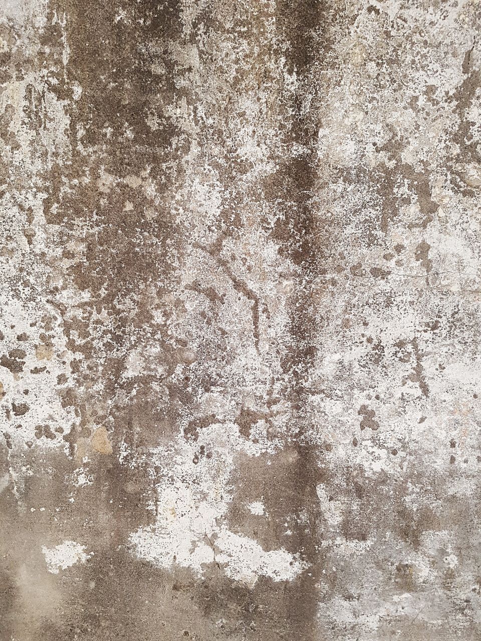 Prison wall concrete texture - 188