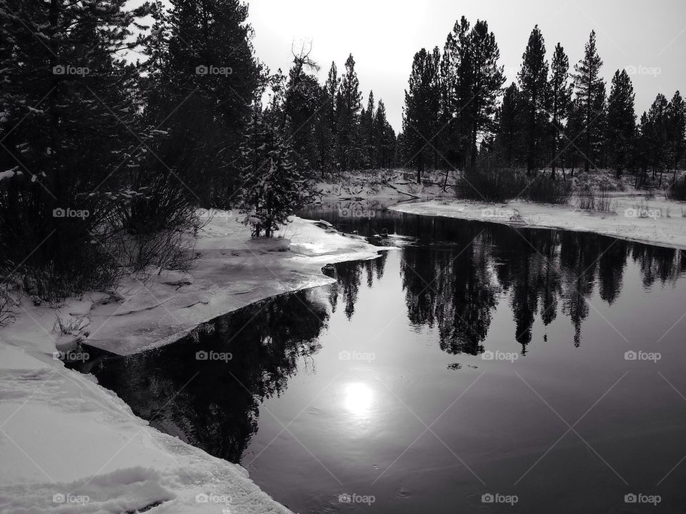 Winter Reflections