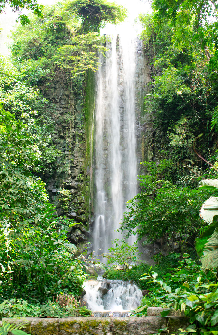 Beautiful waterfall in the garden