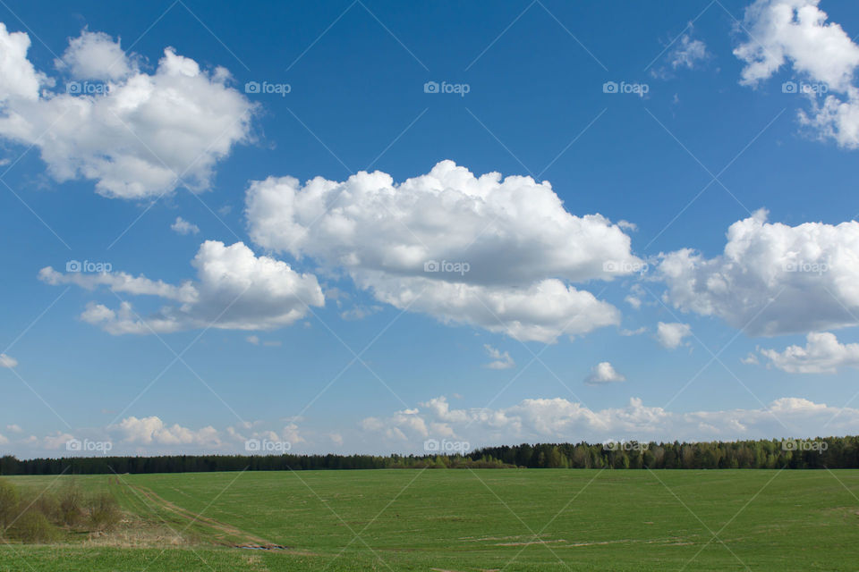 Landscape with field and blue sky