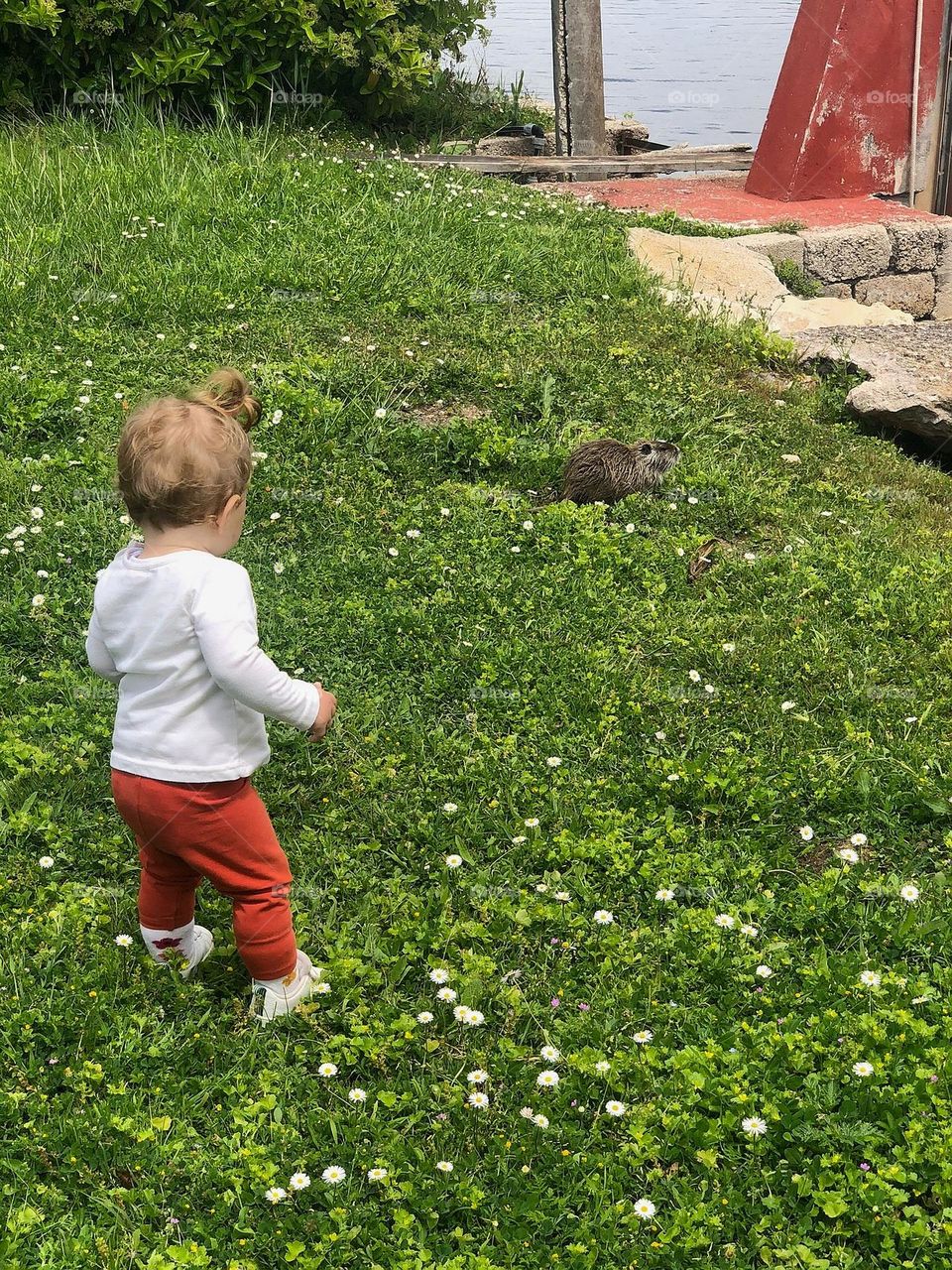 Welcome to Foap. 💚