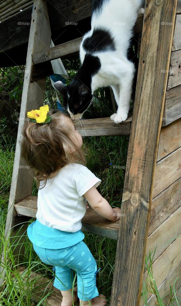 Baby and her loved cat meeting on the ladder 