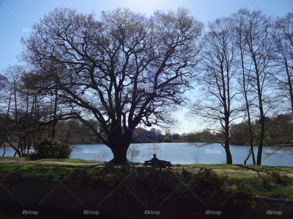 man sitting on a bench and looks toward the lakes