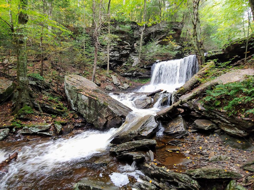 Ricketts Glen State Park