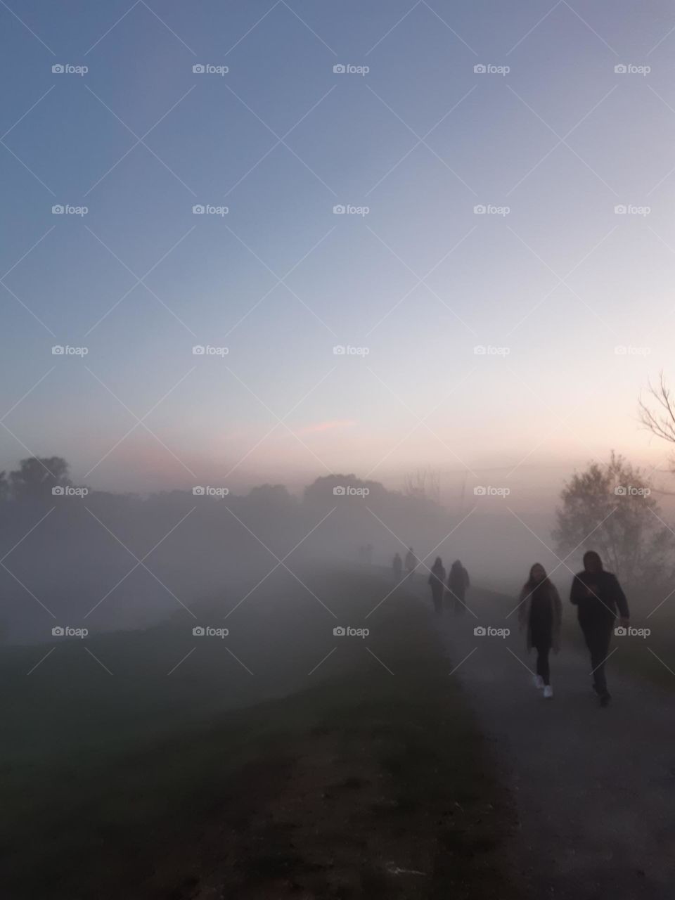 big fog light with trees during sunset in autumn