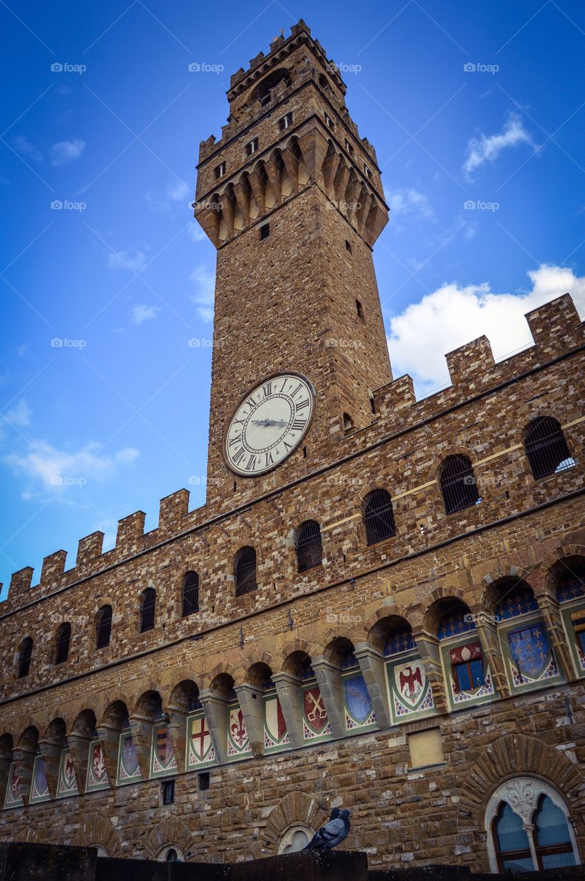 Palacio Vecchio (Florence - Italy)