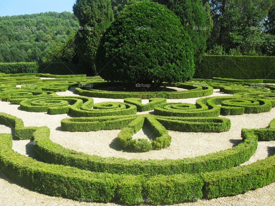 Garden in the solar of Mateus in Vila Real in Portugal