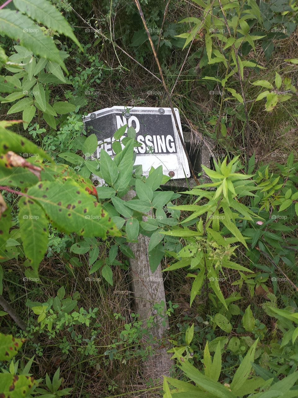 no trespassing