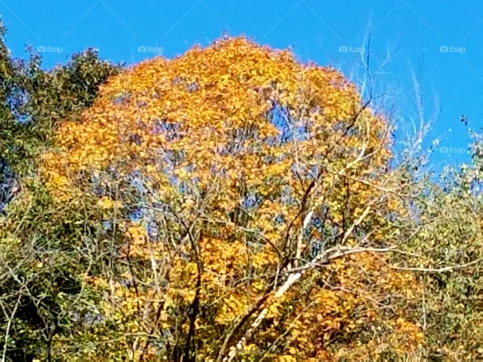 Driving the Back Roads and enjoying everything around us. The beauty in the fall with all the color around us.