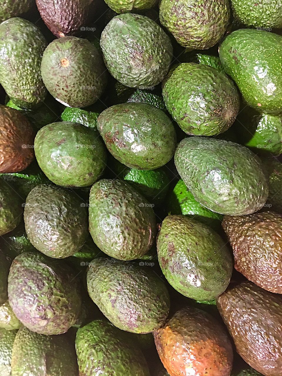 Avocados in the supermarket waiting to be purchased. 