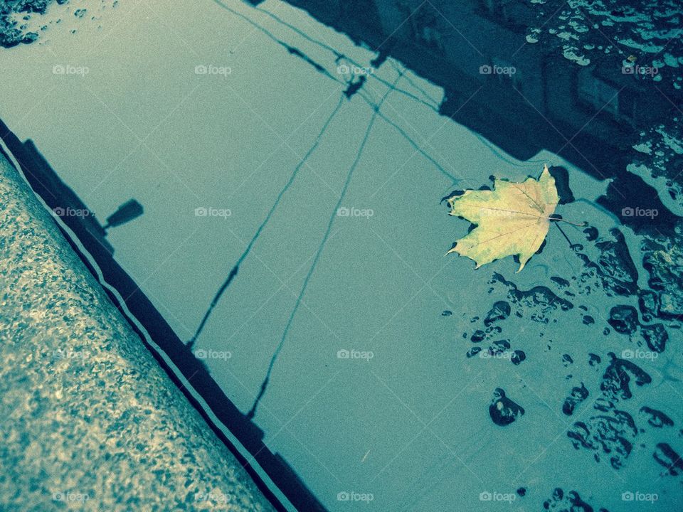 water city waterhole isolated by juliar