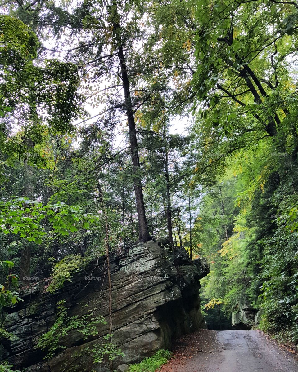 McConnell State Park. A beautiful day for a  hike
