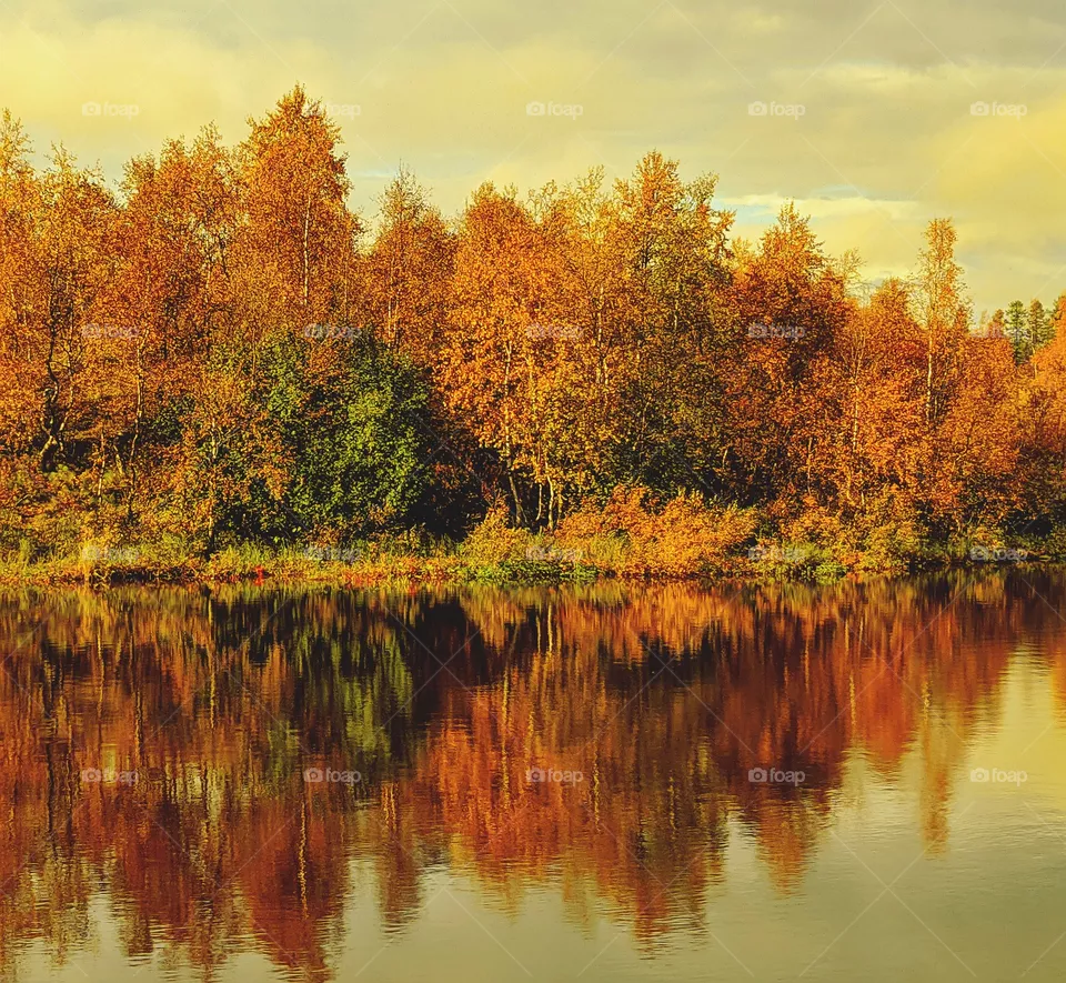 autumn