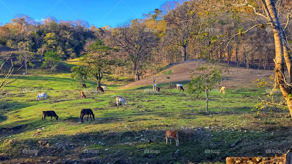 El tiempo modifica el paisaje de este tranquilo lugar 