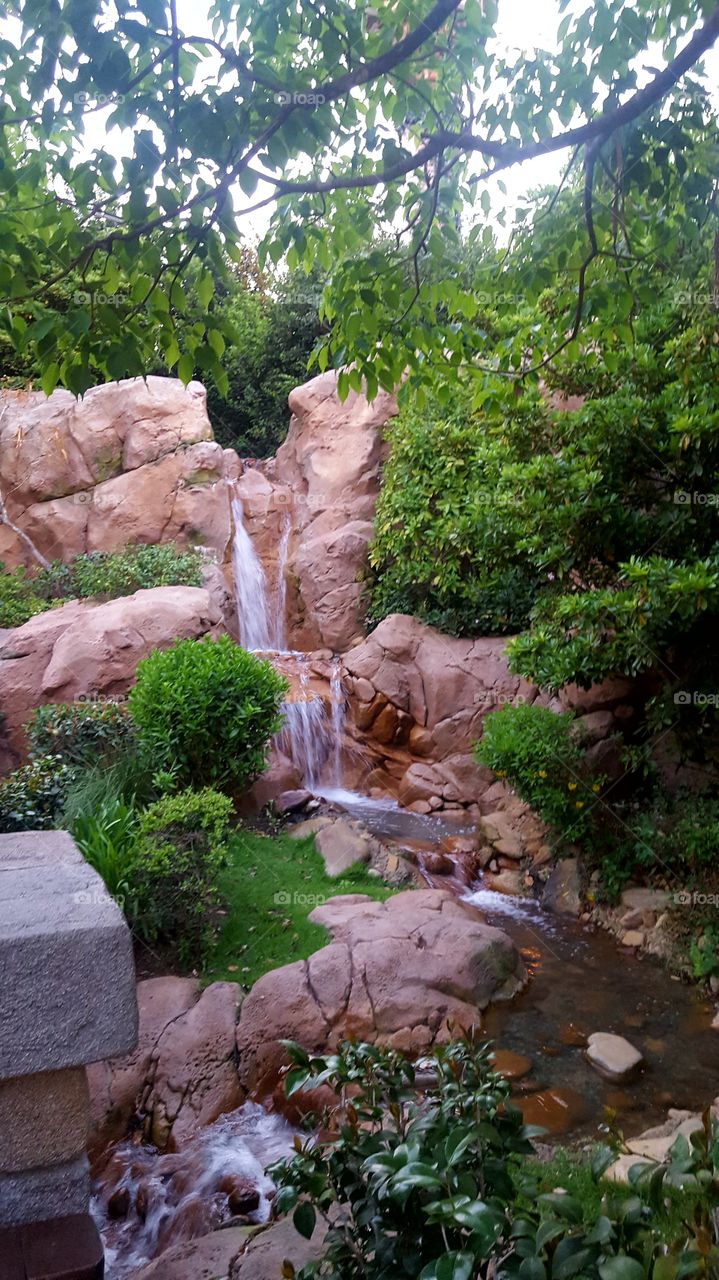 disney waterfall