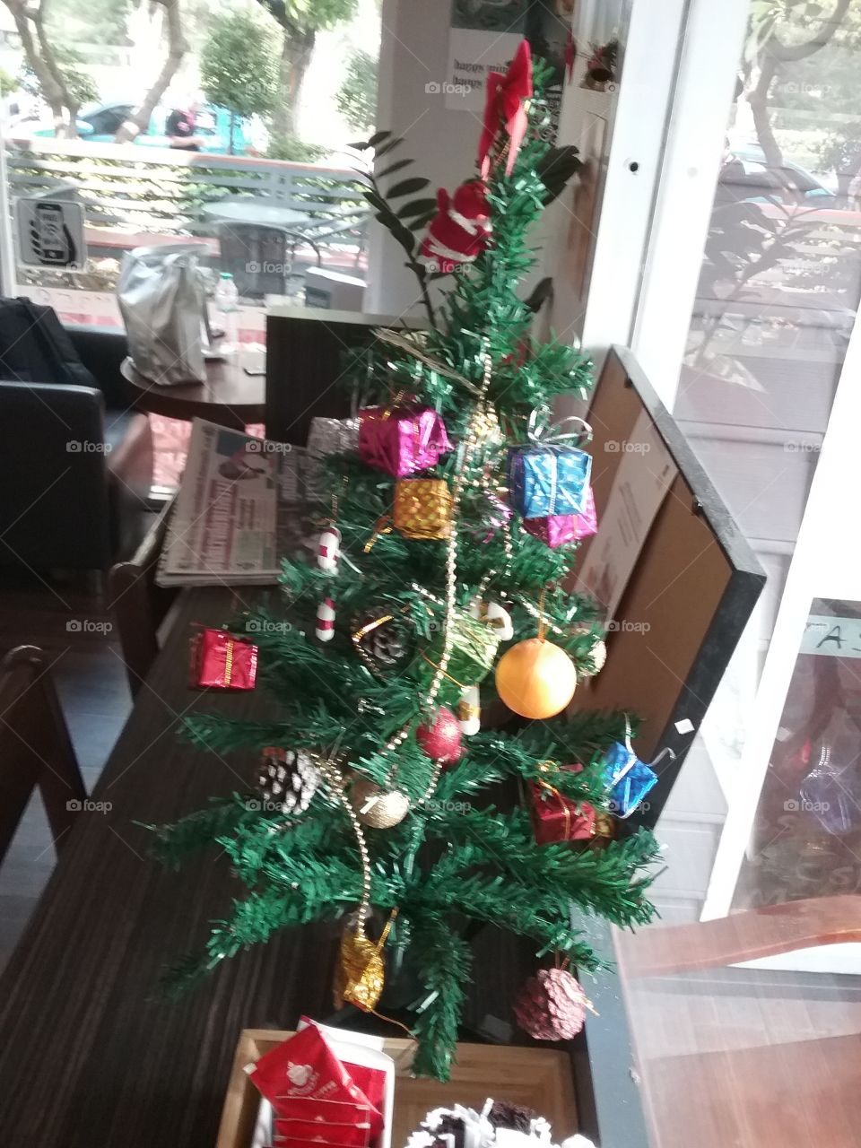 Another side of the world where you can see a Christmas tree everyday in a coffee shop, Bangkok, Thailand.