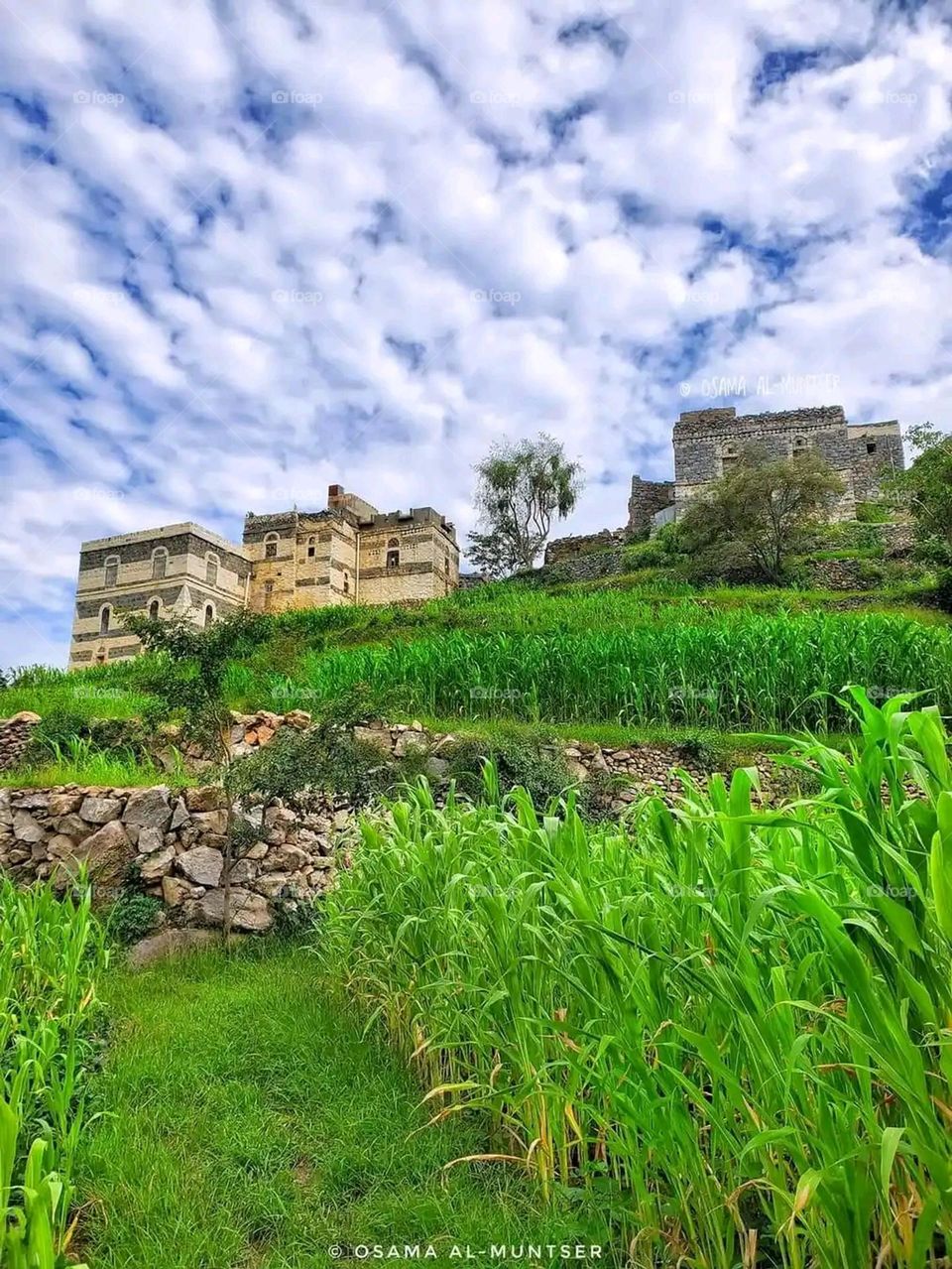 Glory be to God, the magnificent and picturesque view and the natural green trees are a view that is nothing more wonderful than it