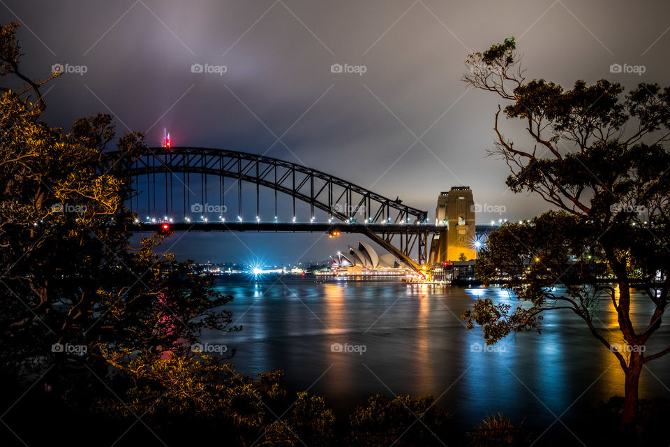Sydney Opera House and Harbour Bridge under clouds and seen through Blues Point foliage