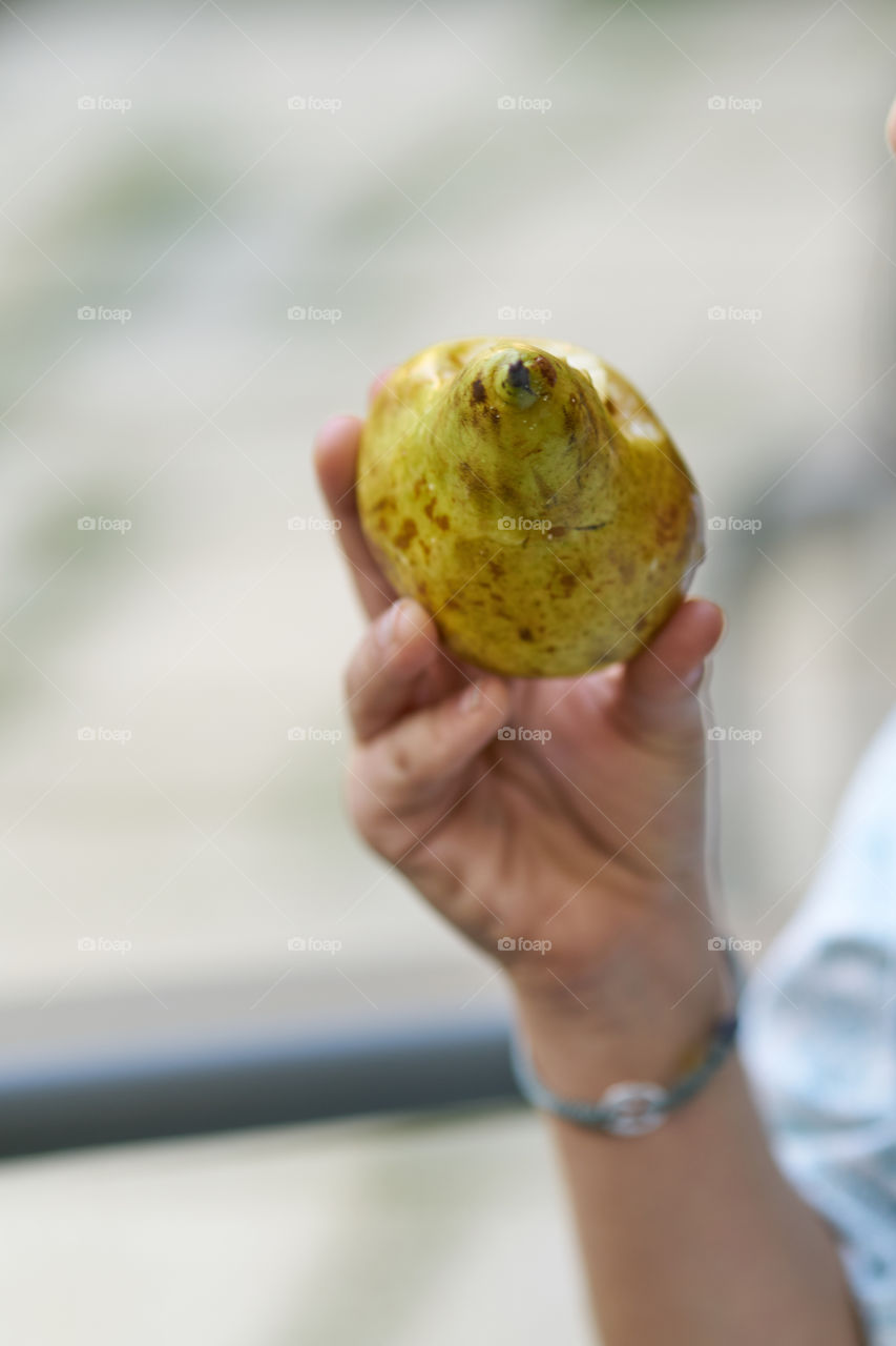 Hand holding pear fruit