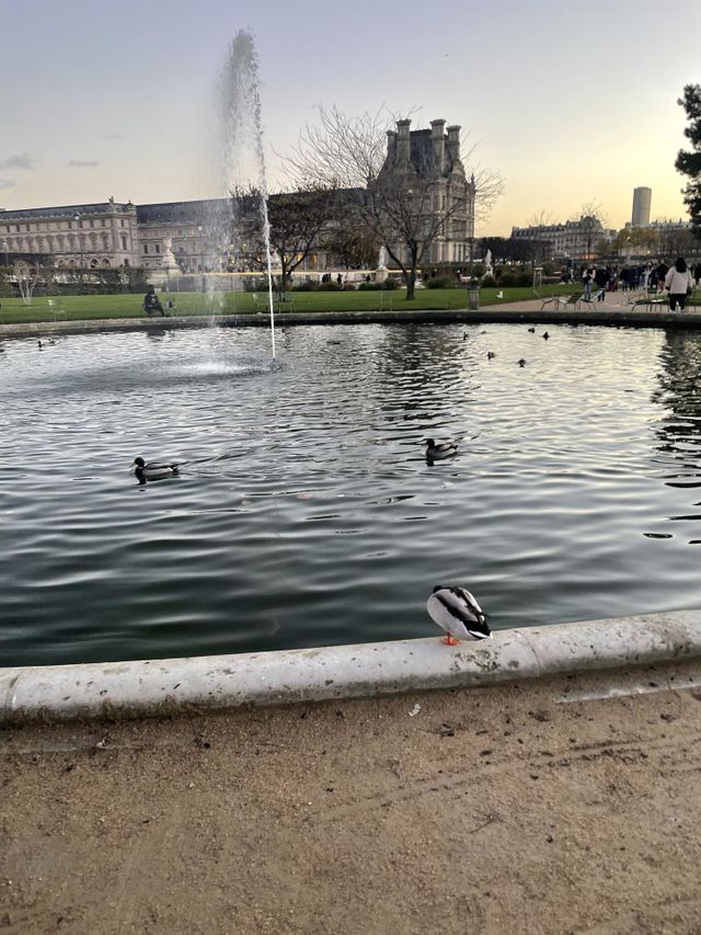 Jardin du Louvre