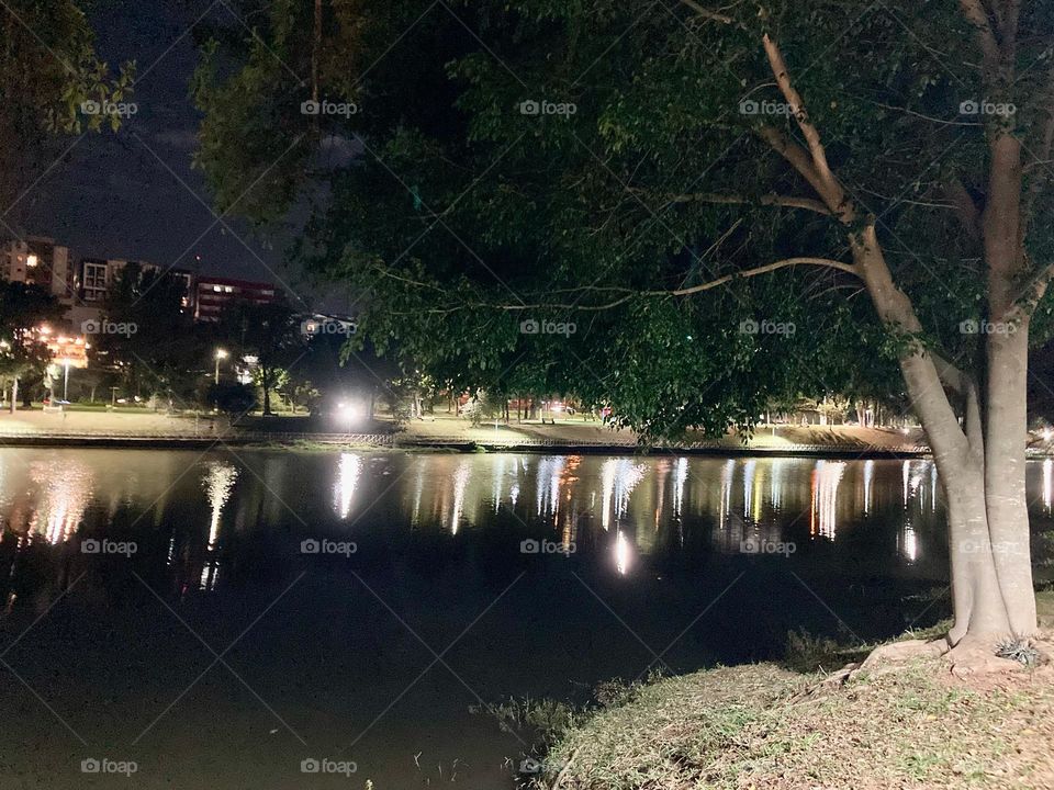 Os reflexos das luzes de Bragança Paulista a noite, no lago. Que final de sábado bonito!

Como não se inspirar com a beleza da natureza?