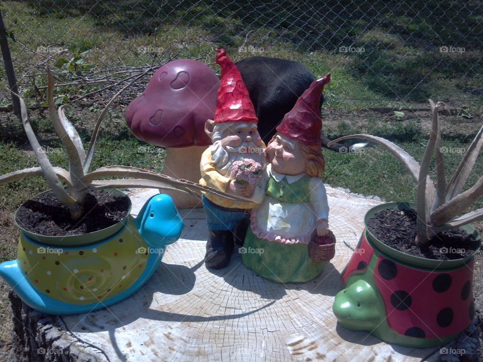 Garden Gnome couple