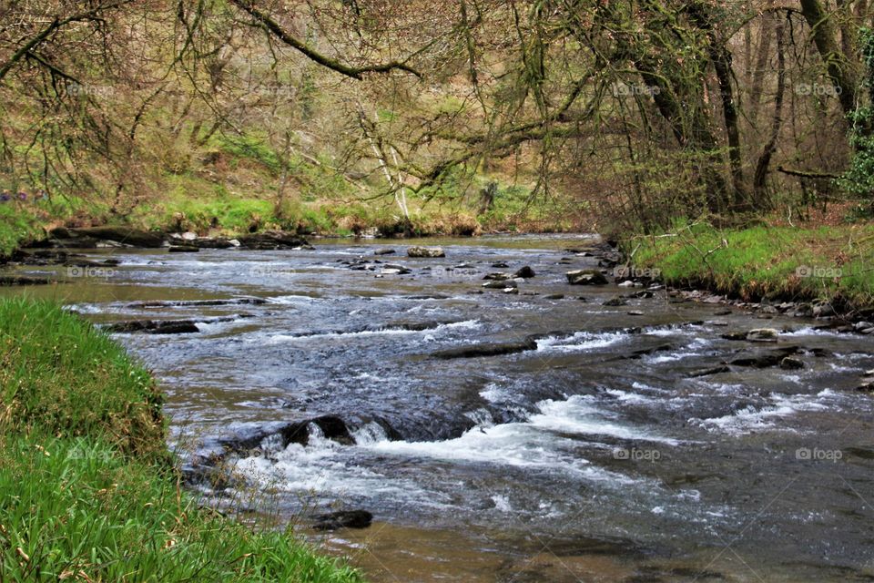 A low river Barle