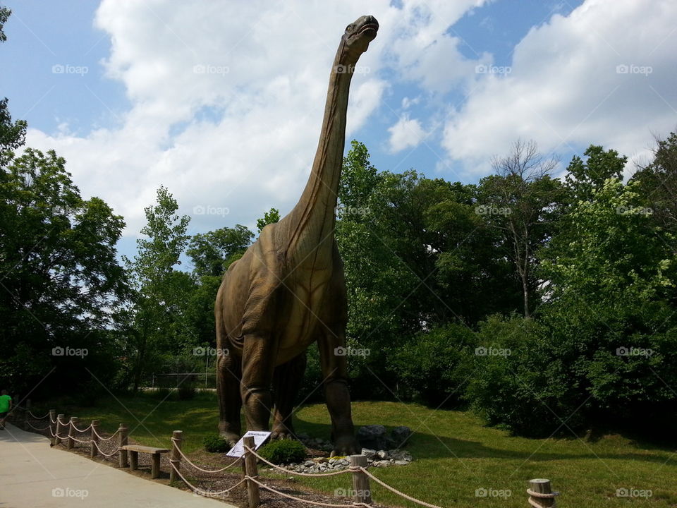 Dinosaur Exhibit