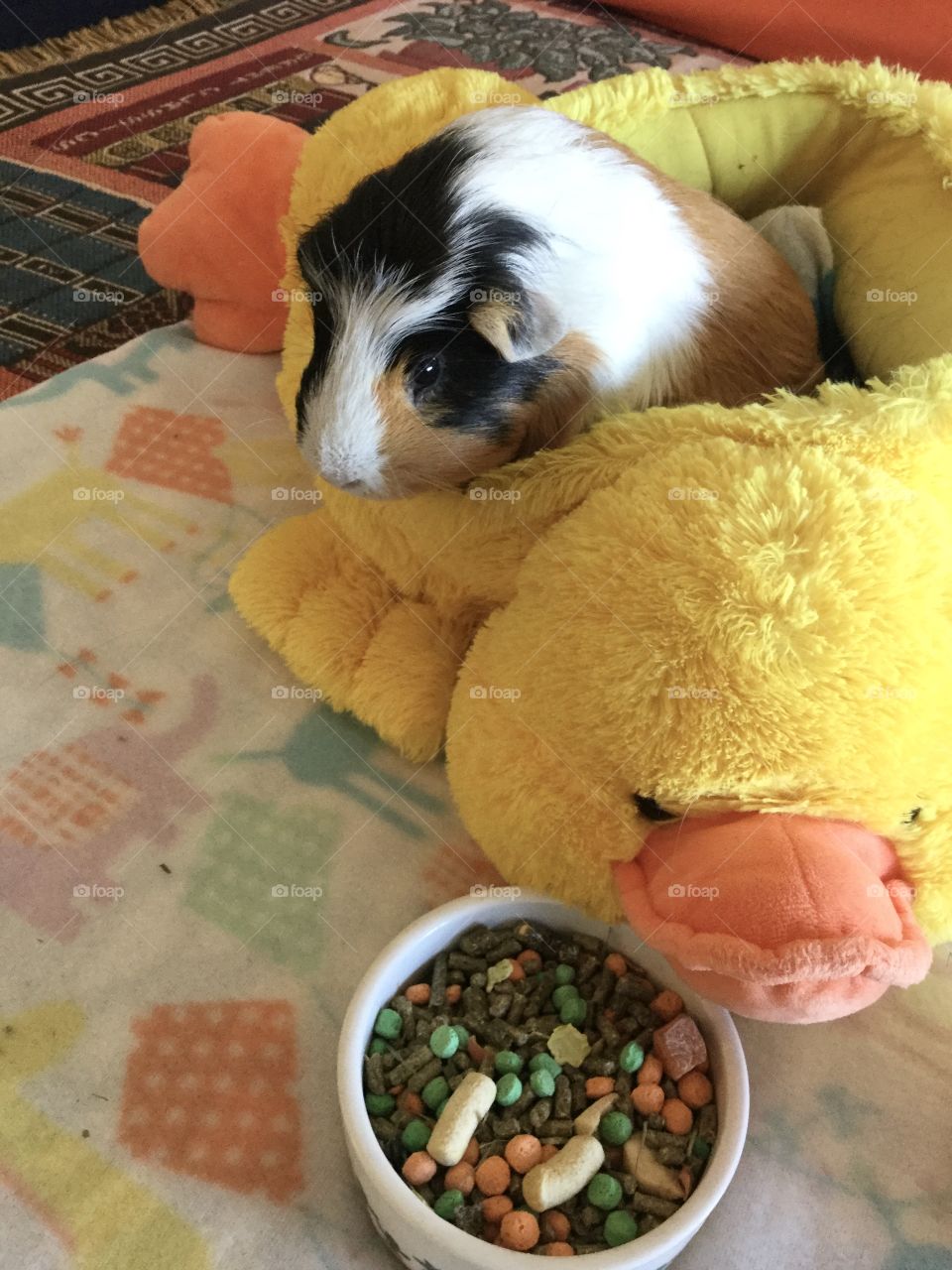 Jonathan is cozy in  plush ducky bed