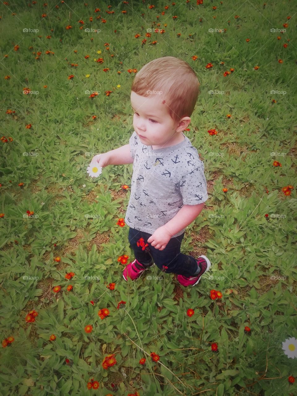 Spring Flower Stroll