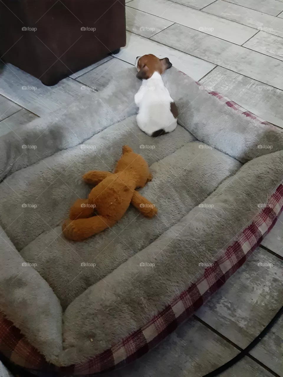 so small