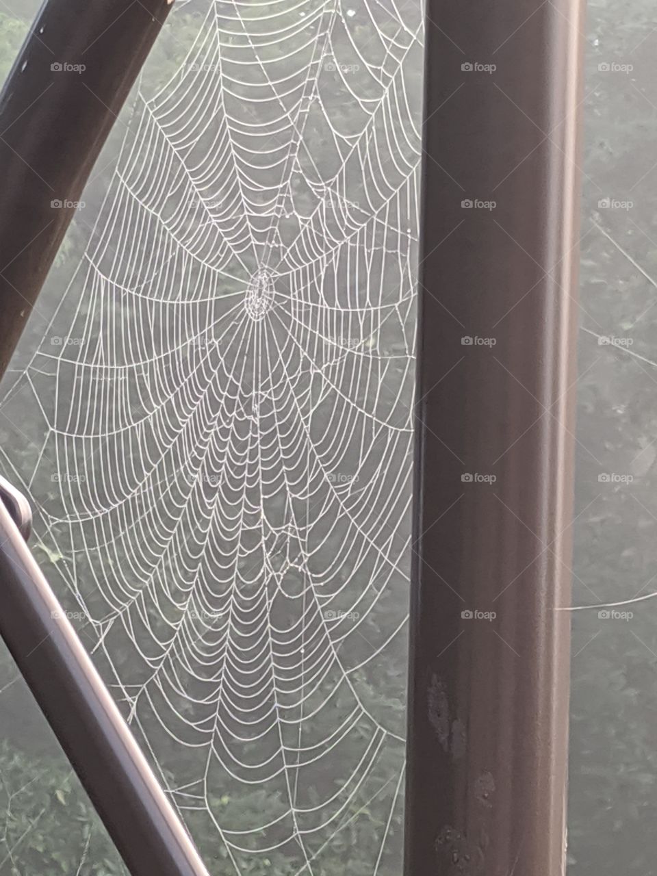 Oh what a tangled web we weave