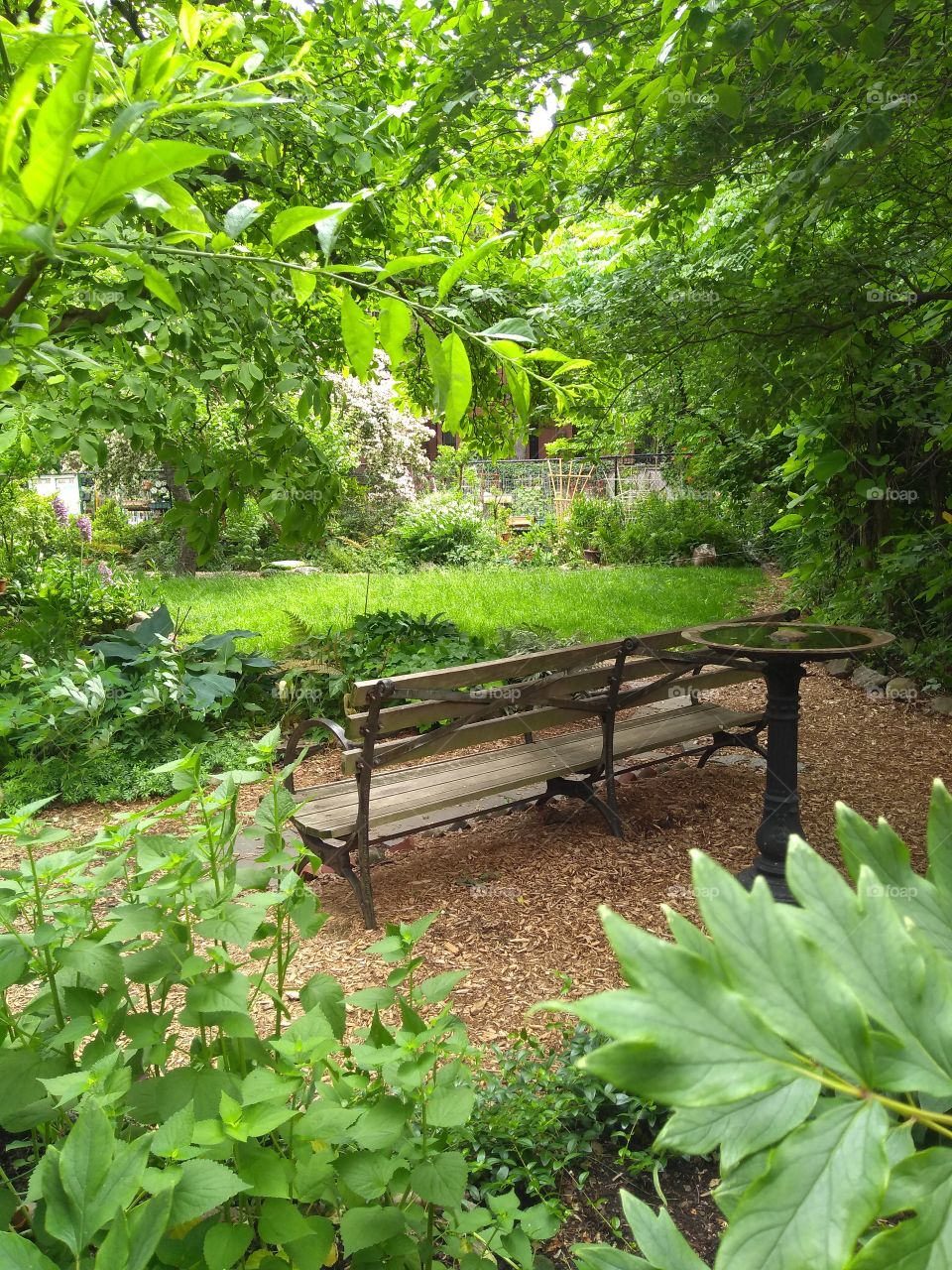 NYC Park A Bench and a Bird Bath