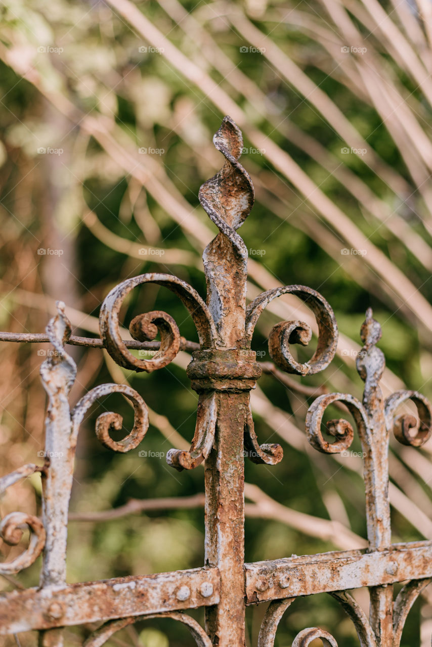 Rusty old metal fence / gate. Ornamental.