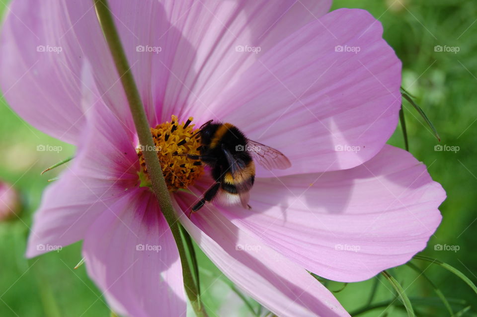 Gardening