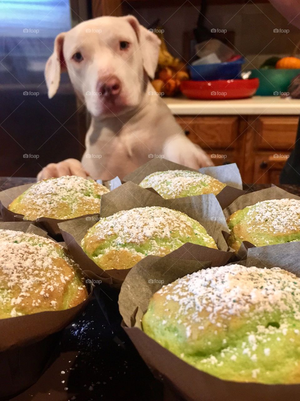 Pistachio Muffins