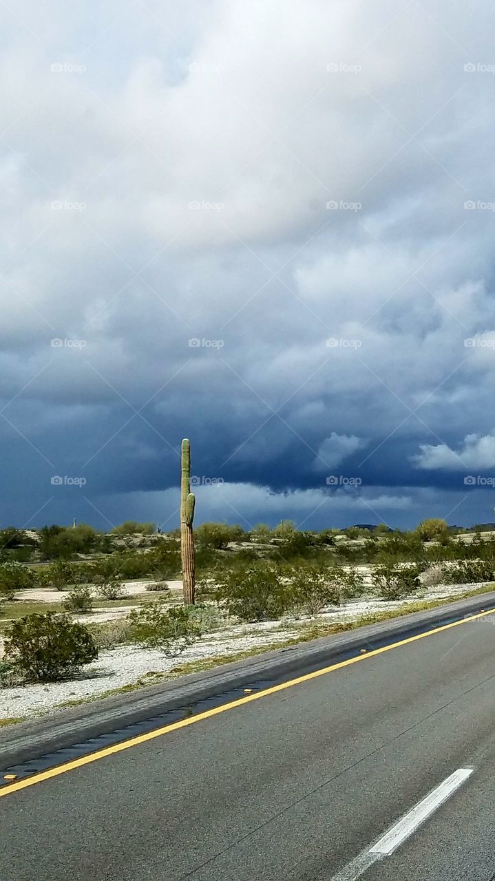stormy stormy Desert Sky