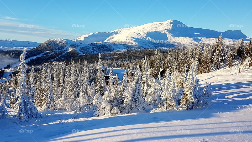 View of snowcapped mountains