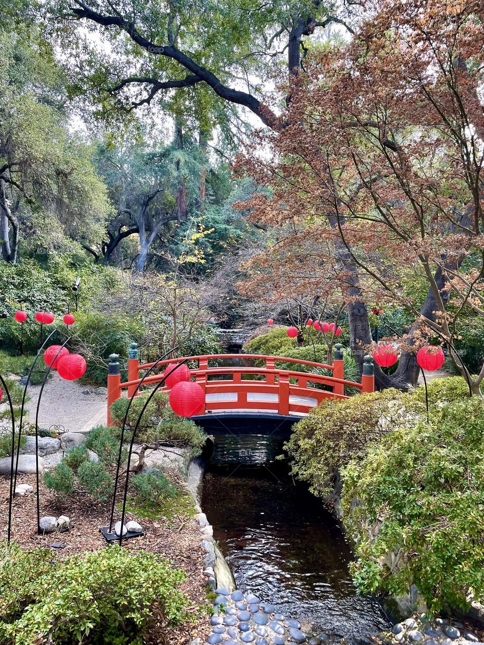 japanese garden 