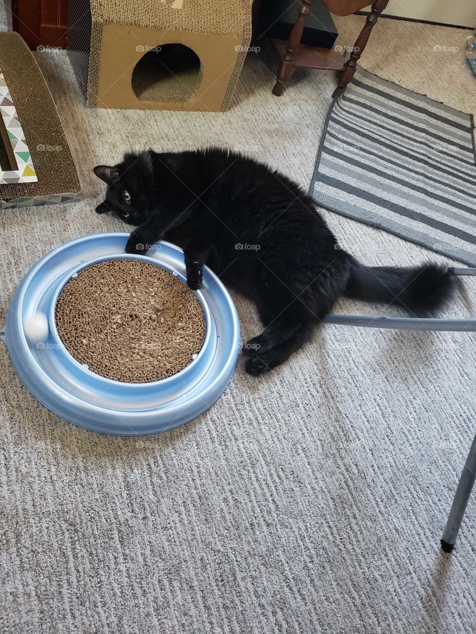 playing with the ball