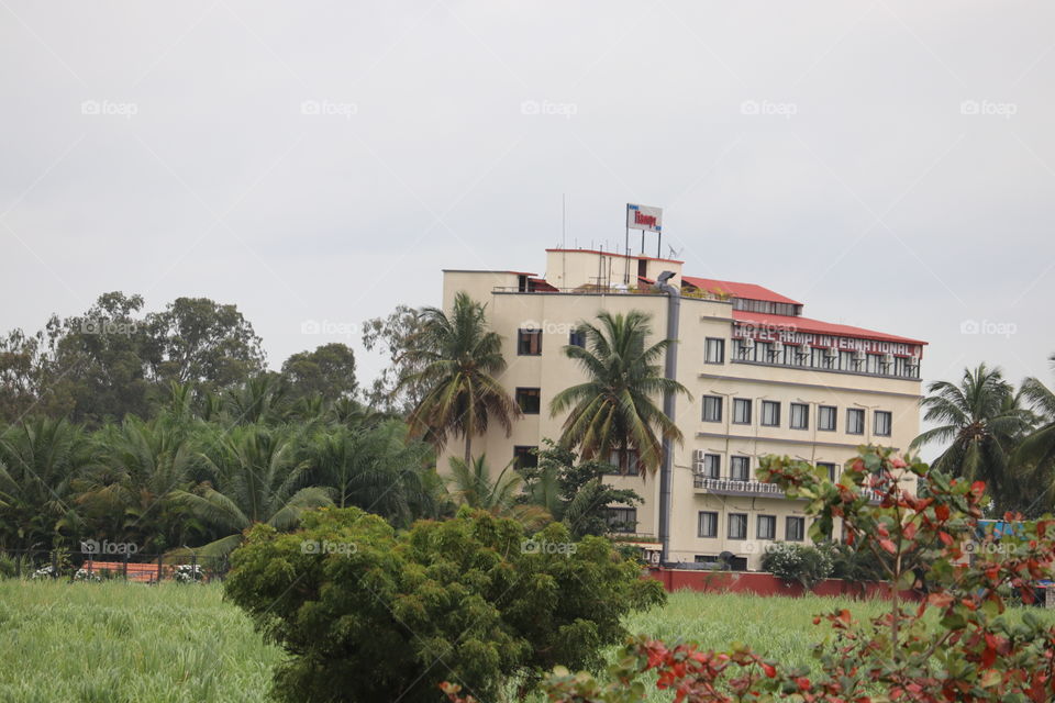 Tree, Architecture, Building, House, Travel